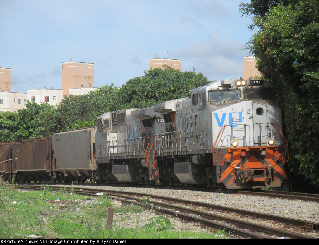 VLI 6024